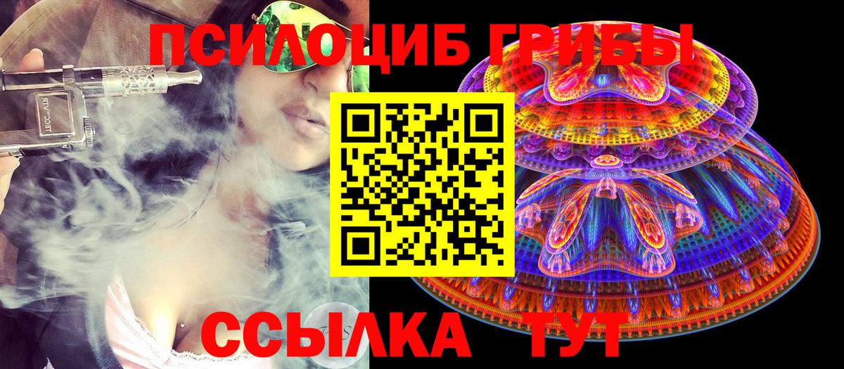 Псилоцибиновые грибы GOLDEN TEACHER  Вход с VPN  Балтийск  закладки  Псилоцибиновые грибы мицелий 
